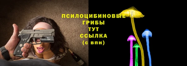хмурый Абинск