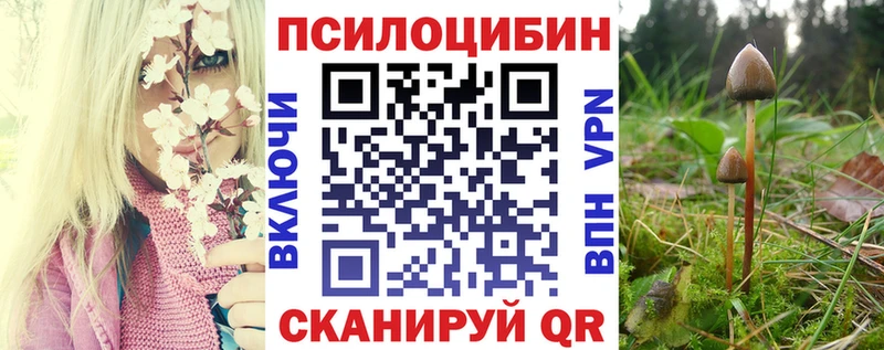 кракен как войти цена наркотик Мостовской darknet наркотические препараты Галлюциногенные грибы MAGIC MUSHROOMS